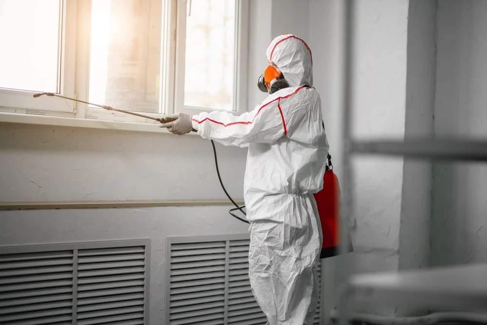 Professional mold remediation services in Mountain Home, TX